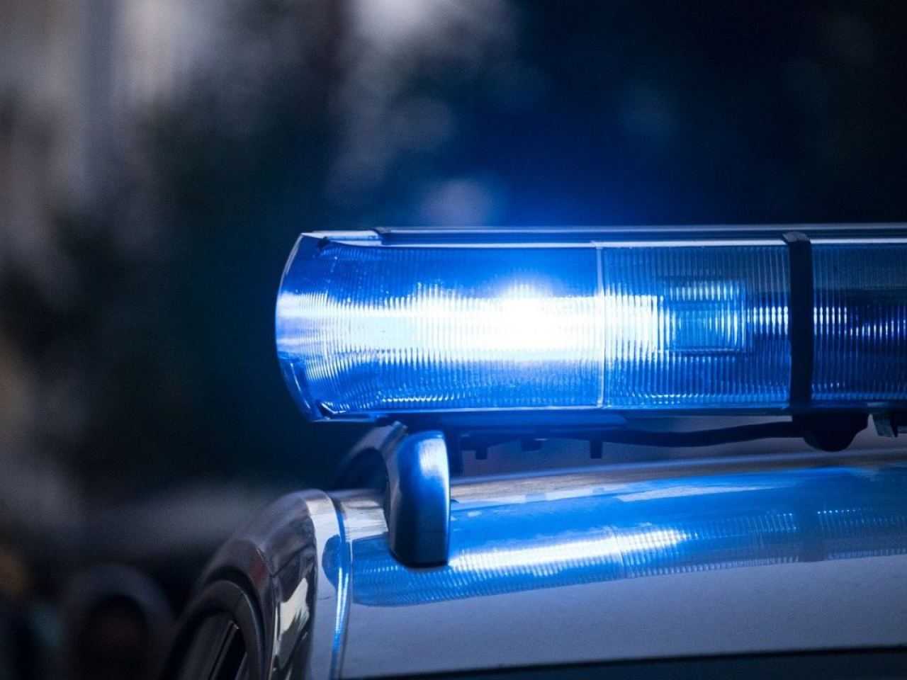 Man vermoordt ex-vrouw en dumpt lichaam bij bloeddorstige dieren