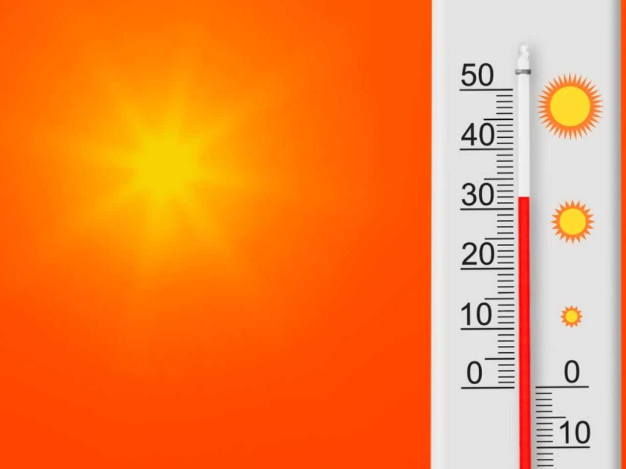 KMI voorspelt heel warm weer: 30 graden op komst | Redactie24