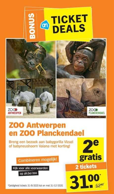 Albert Heijn zoo van Antwerpen planckendael