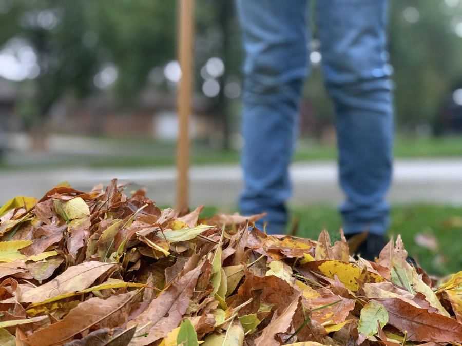 bladeren, tuin, harken, werken in de tuin