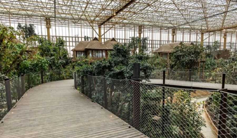 Pairi Daiza
