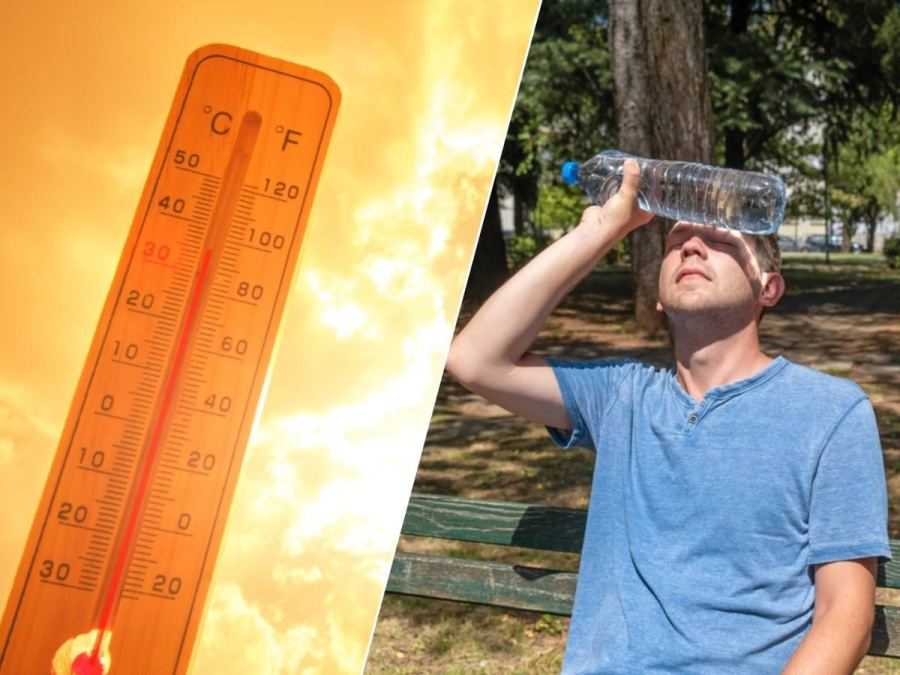 zomer hitte warmte 