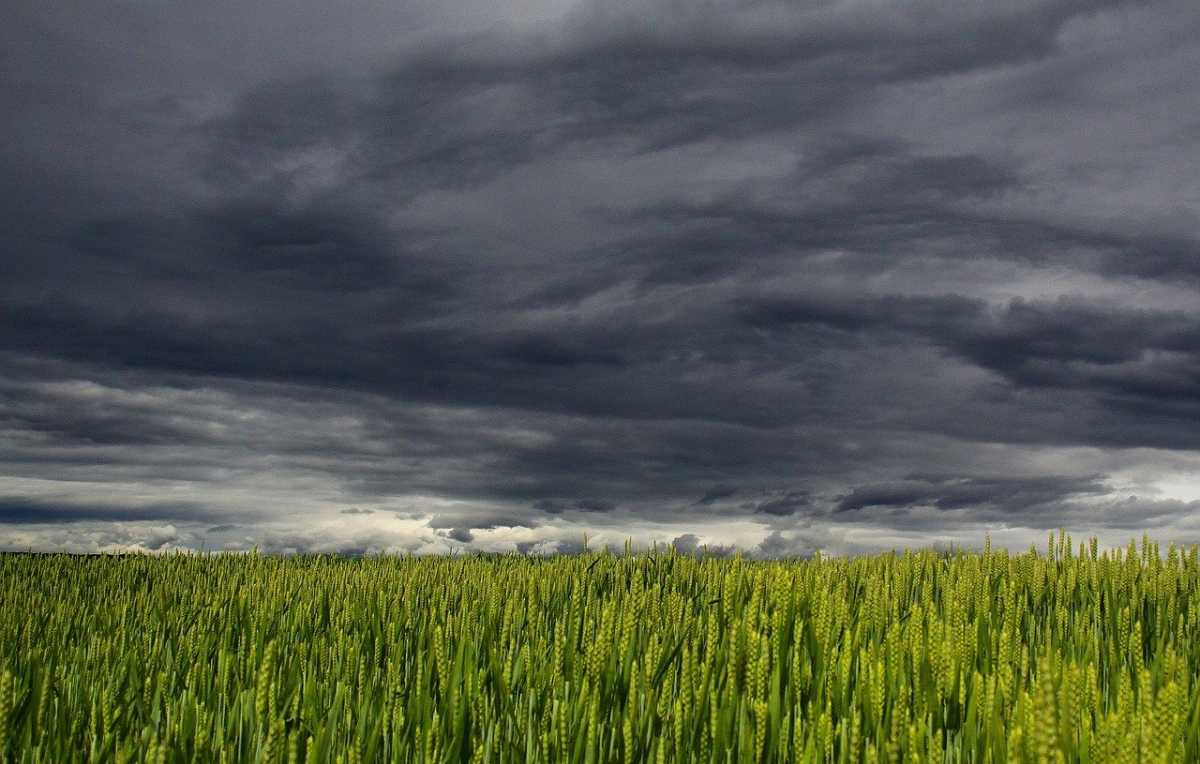 wolken boven een veld tijdens een onweer