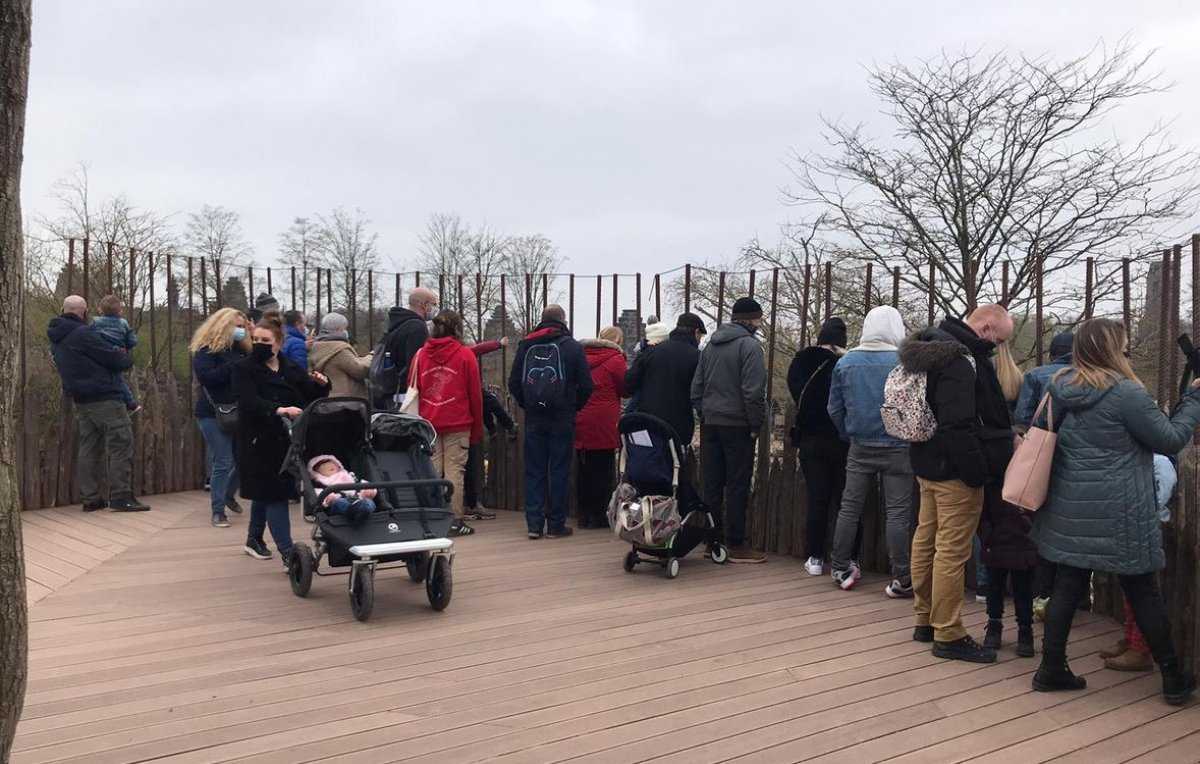 Pairi Daiza Foto Facebook