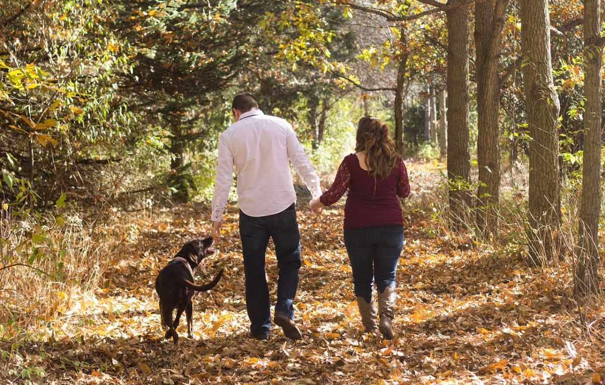 wandelen, familie met hond