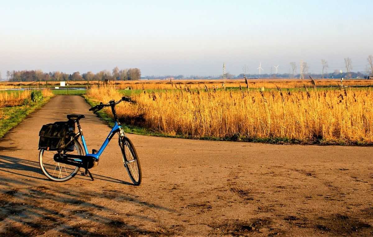 fiets, natuur, zomer
