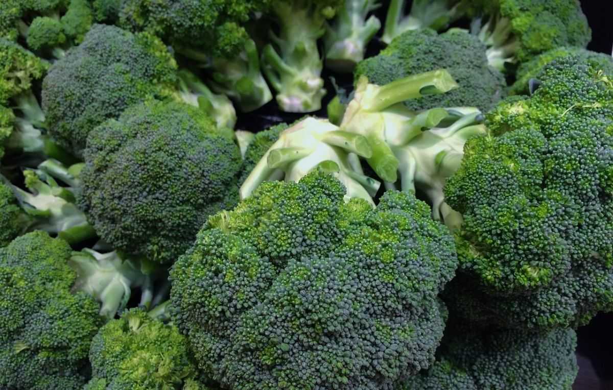 broccoli