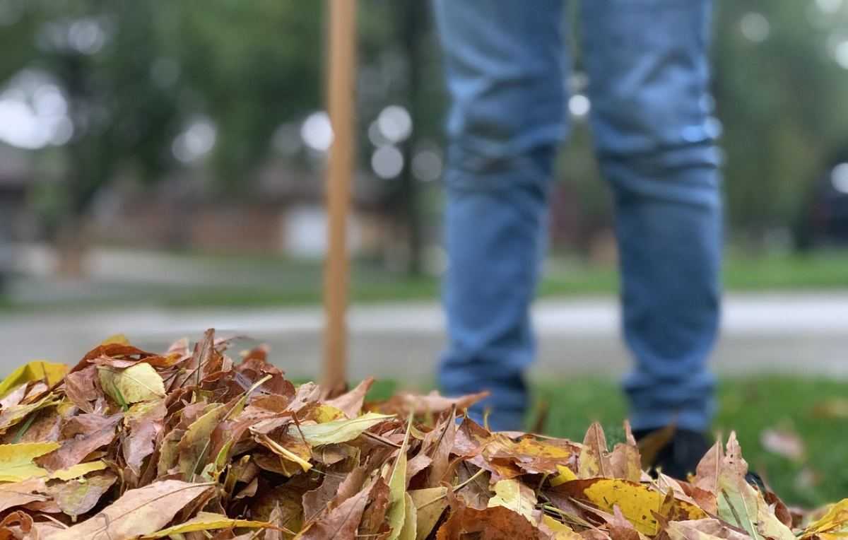 bladeren, tuin, harken, werken in de tuin