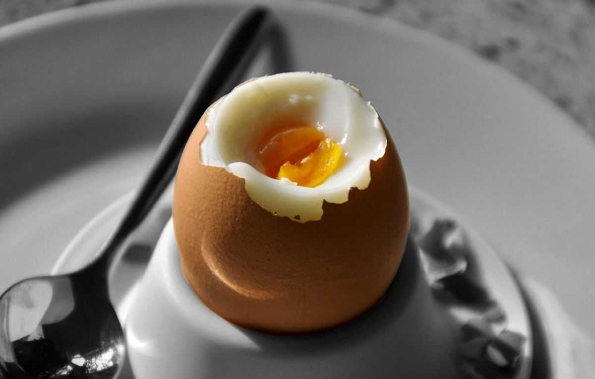 gekookt ei, ontbijt, ei, eten