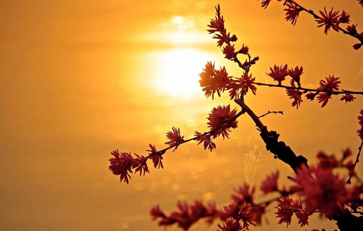 Lente - code oranje