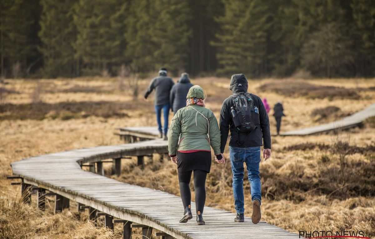 Hoge Venen - wandelen