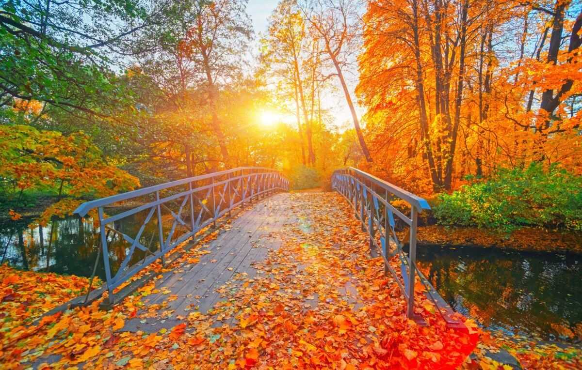 De Geheime Tip Voor Perfecte Herfstfoto s Redactie24 De Geheime Tip Voor Perfecte Herfstfoto s Redactie24