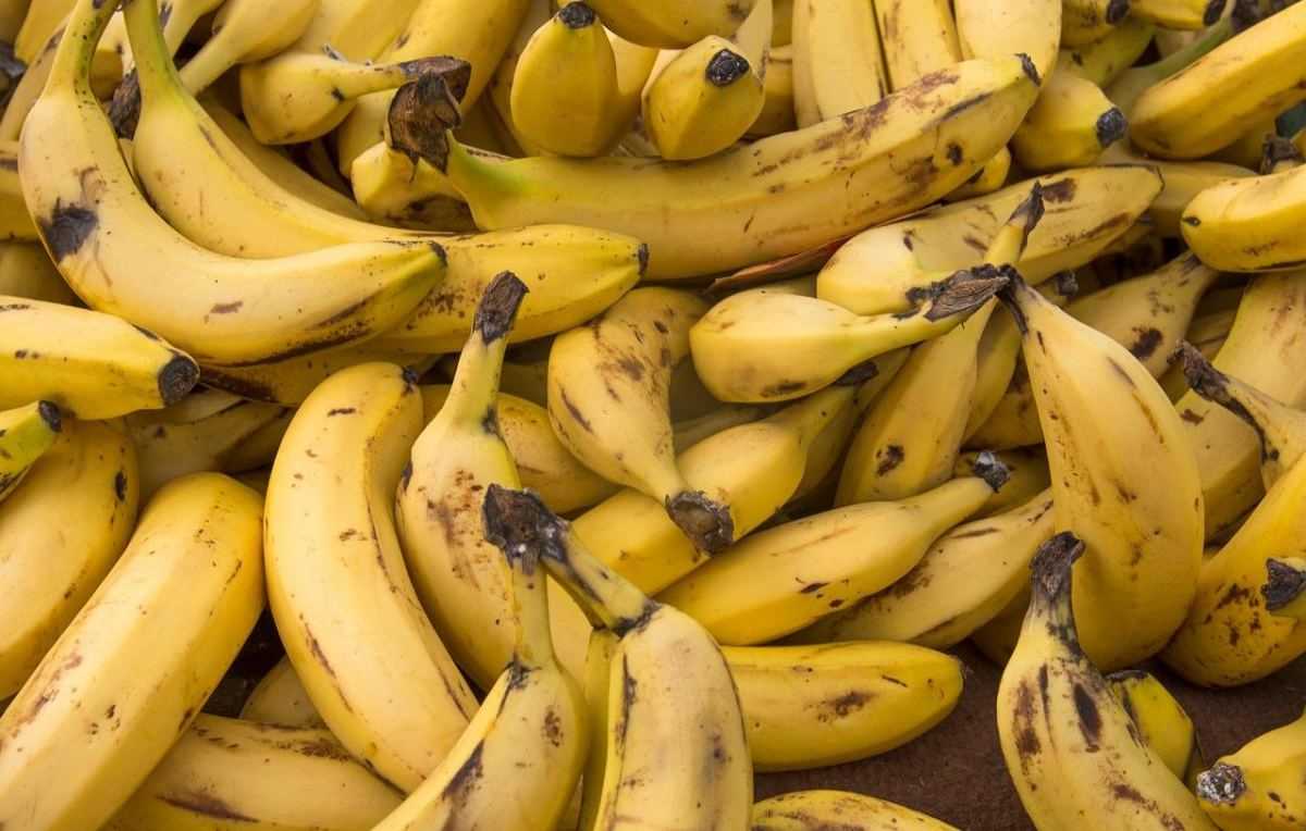 banaan