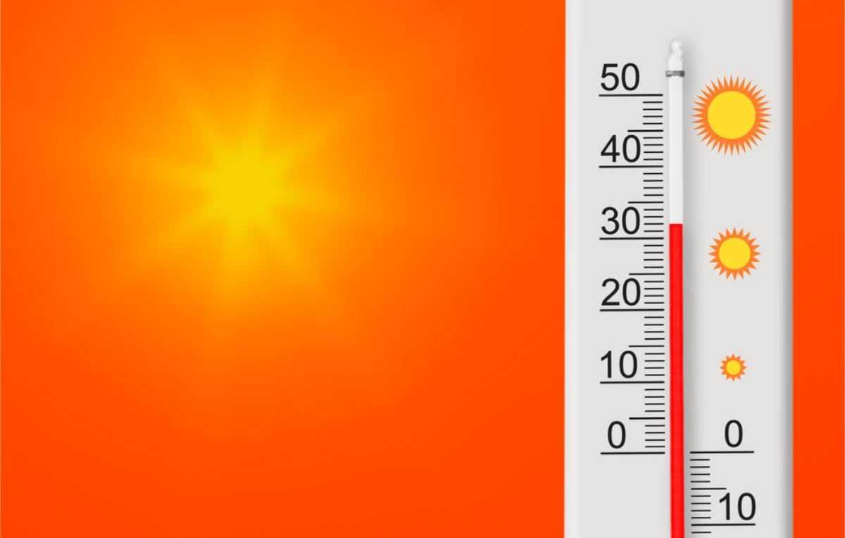 Hitte - zomer - 32 graden