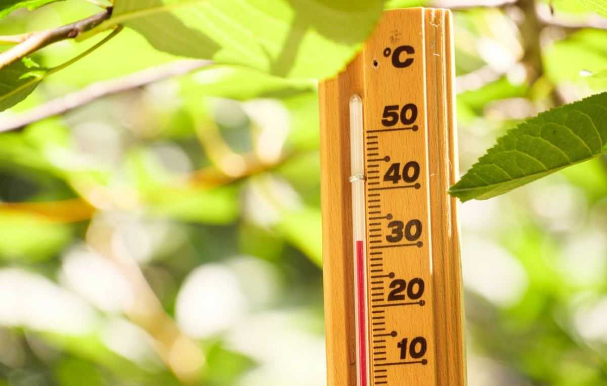 hittegolf hitte warmte zomer
