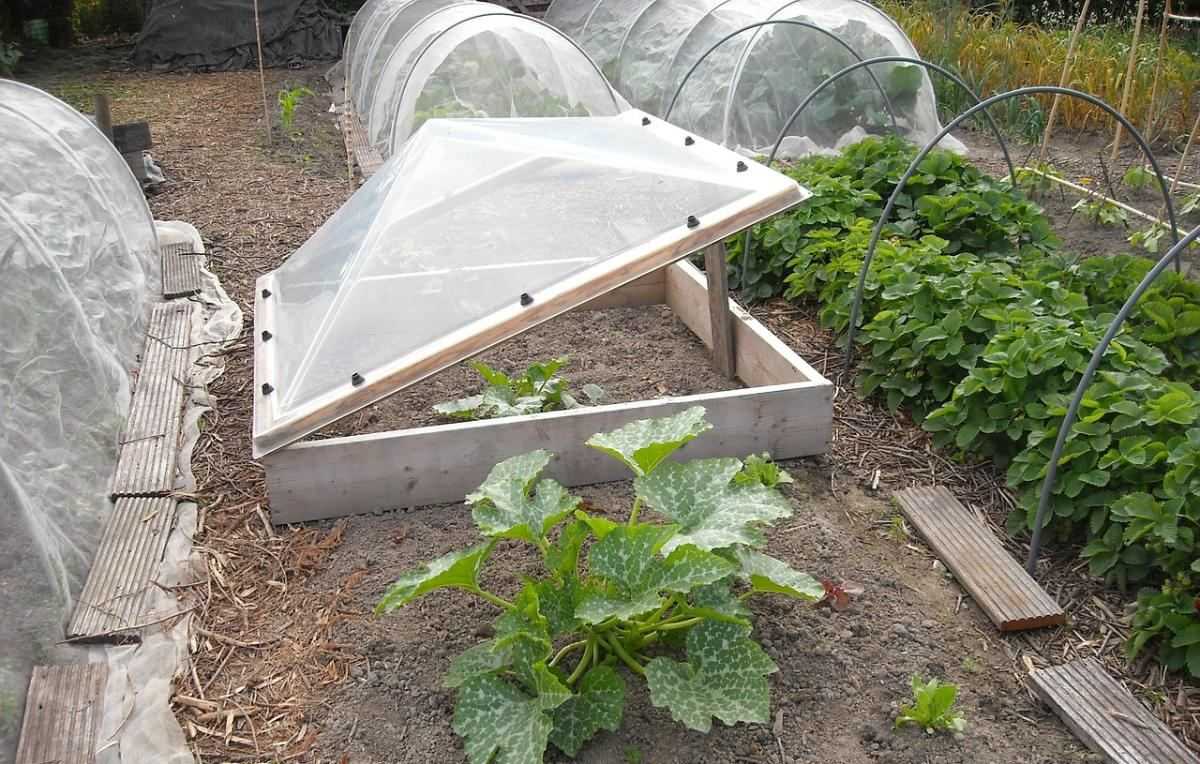 moestuin, tuin, tunieren