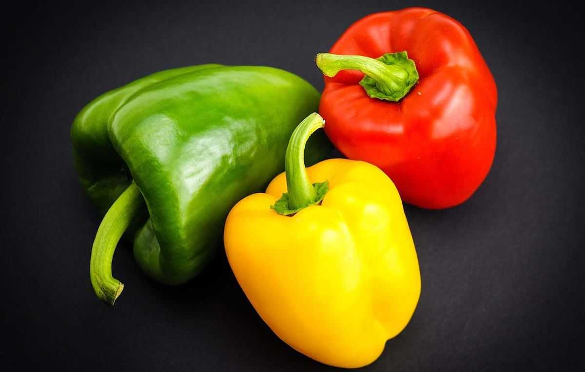 Paprika