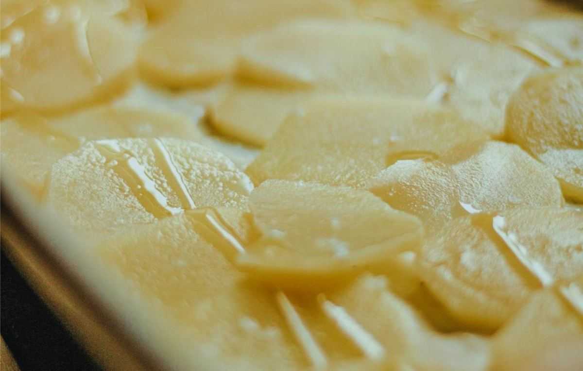 Aardappelgratin