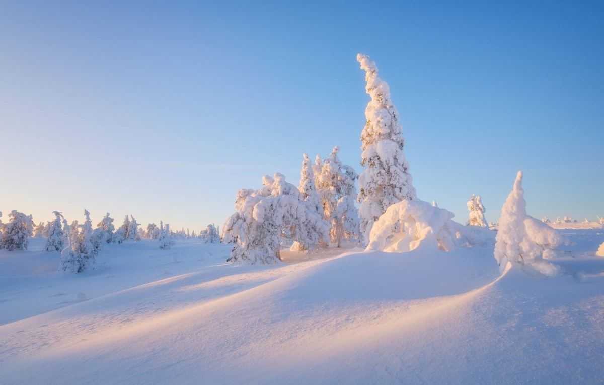 winter