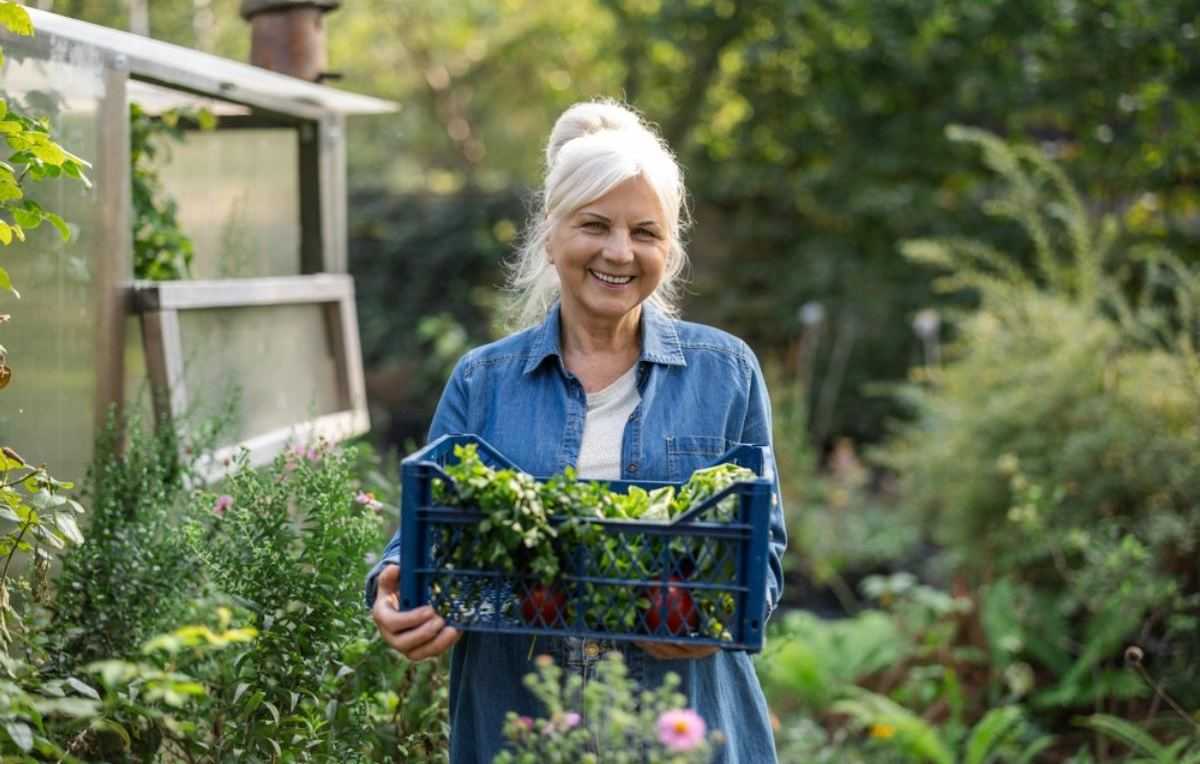 moestuin, tuin, groenten, planten, zaaien, serre