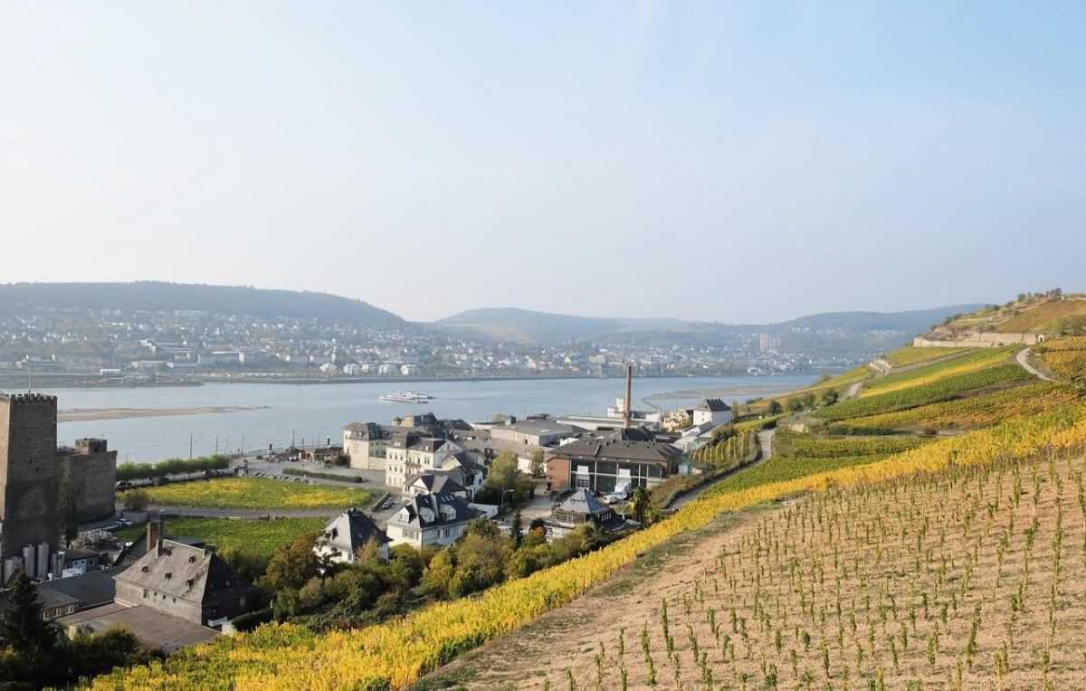 Rüdesheim am Rhein