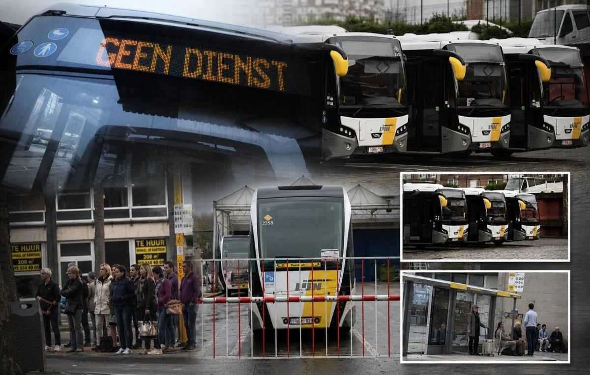 staking de lijn