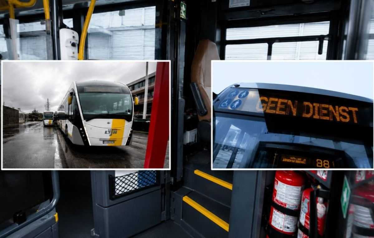 staking de lijn