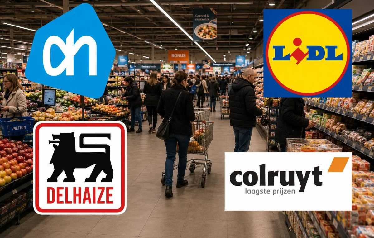 delhaize colruyt albert heijn lidl