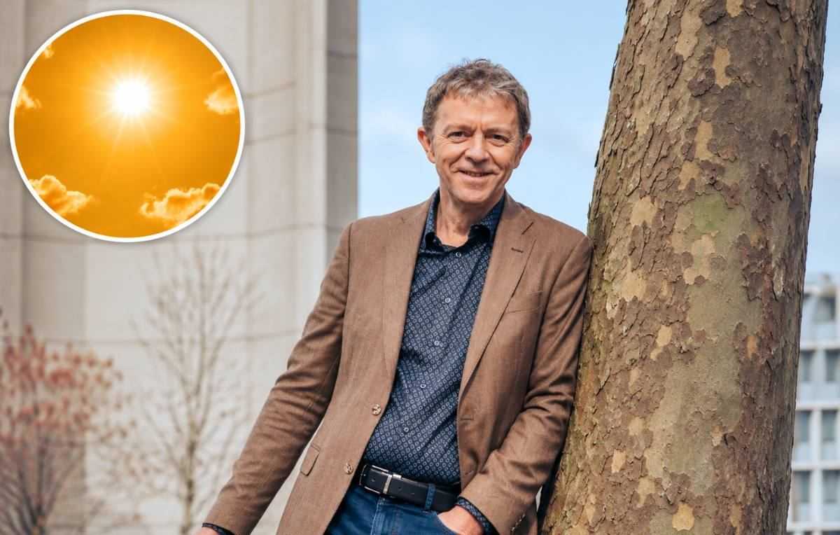 frank deboosere - zon