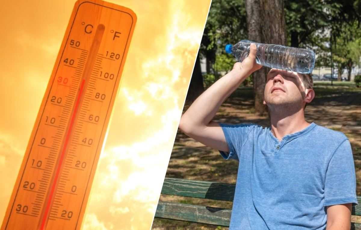 zomer hitte warmte 