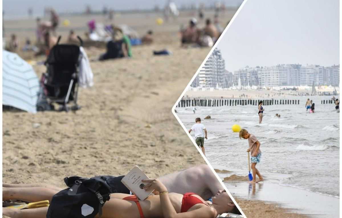 strand knokke