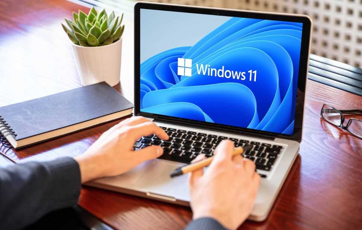windows 11