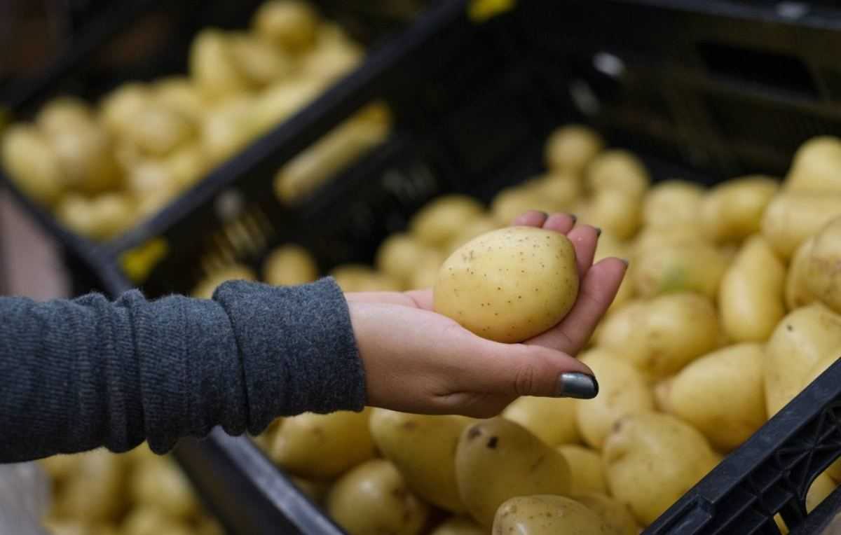 aardappelen