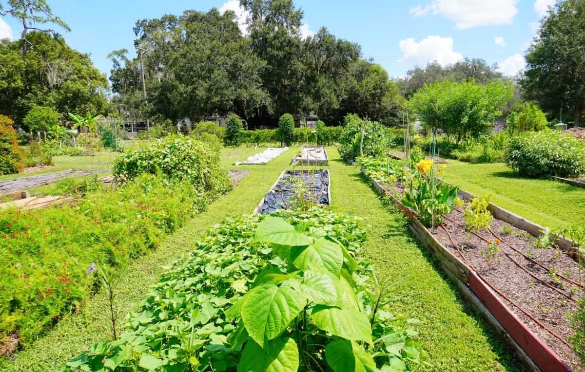 moestuin