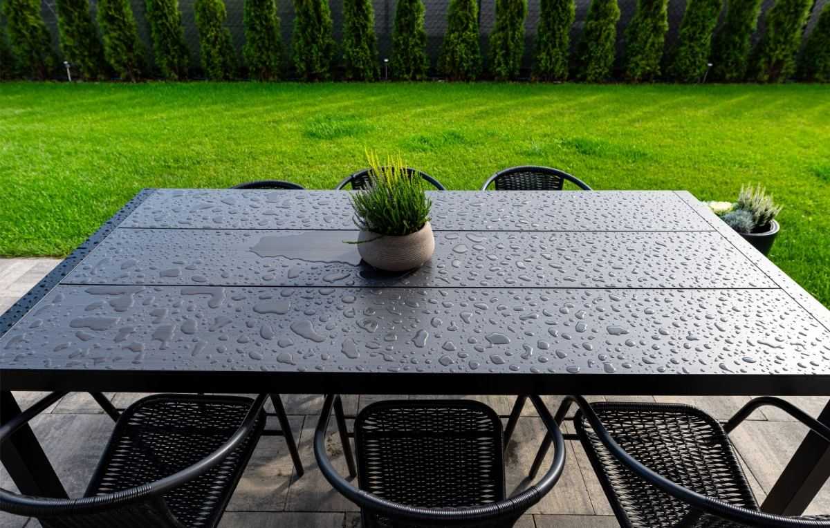 terras regen