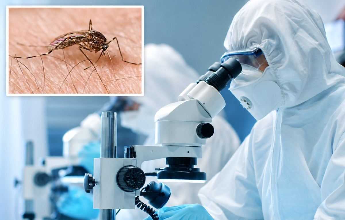 westnijlvirus