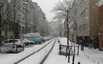 Sneeuw