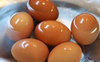Eieren