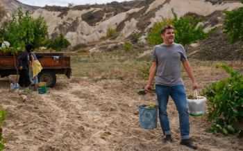 Mosterd Van Meus - Jeroen Meus