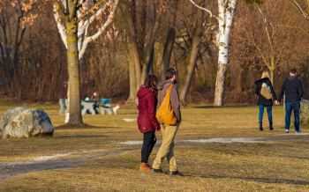 wandelen, park, bewegen, op pad zijn