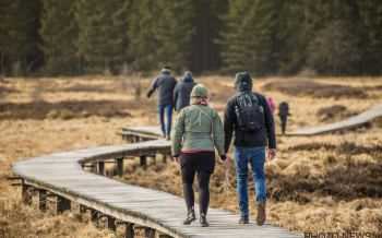 Hoge Venen - wandelen