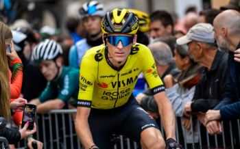 Gesink