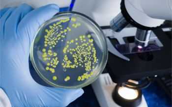 Bacteriën