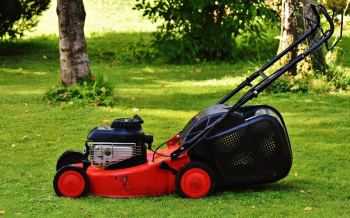 grasmaaier gras