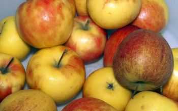 appel