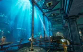 Pairi Daiza - Edenya