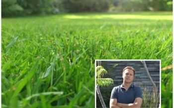 Roeland Vranckx Tuinen Vranckx