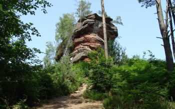 Pfälzerwald