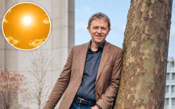 frank deboosere - zon