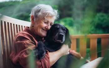 hond huisdier
